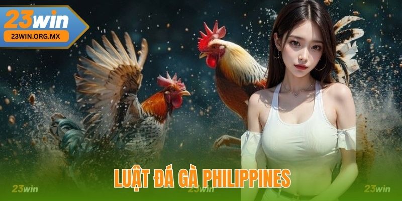 Luật Đá Gà Philippines Tại 23win – Quy Định Và Hướng Dẫn Chi Tiết Luật đá gà Philippines tại 23WIN